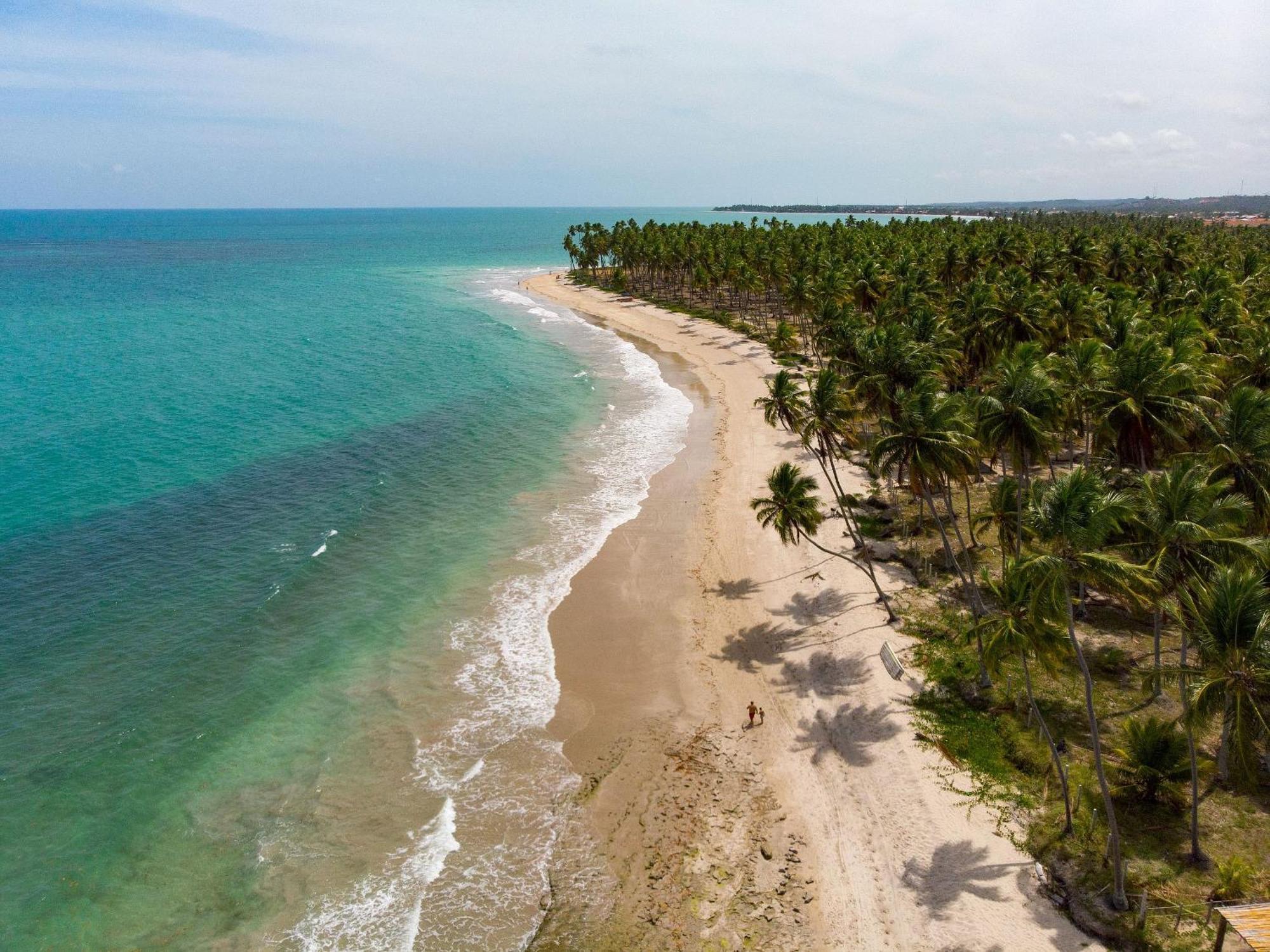 Carneiros Beach Resort Прая-дос-Карнейрос Экстерьер фото